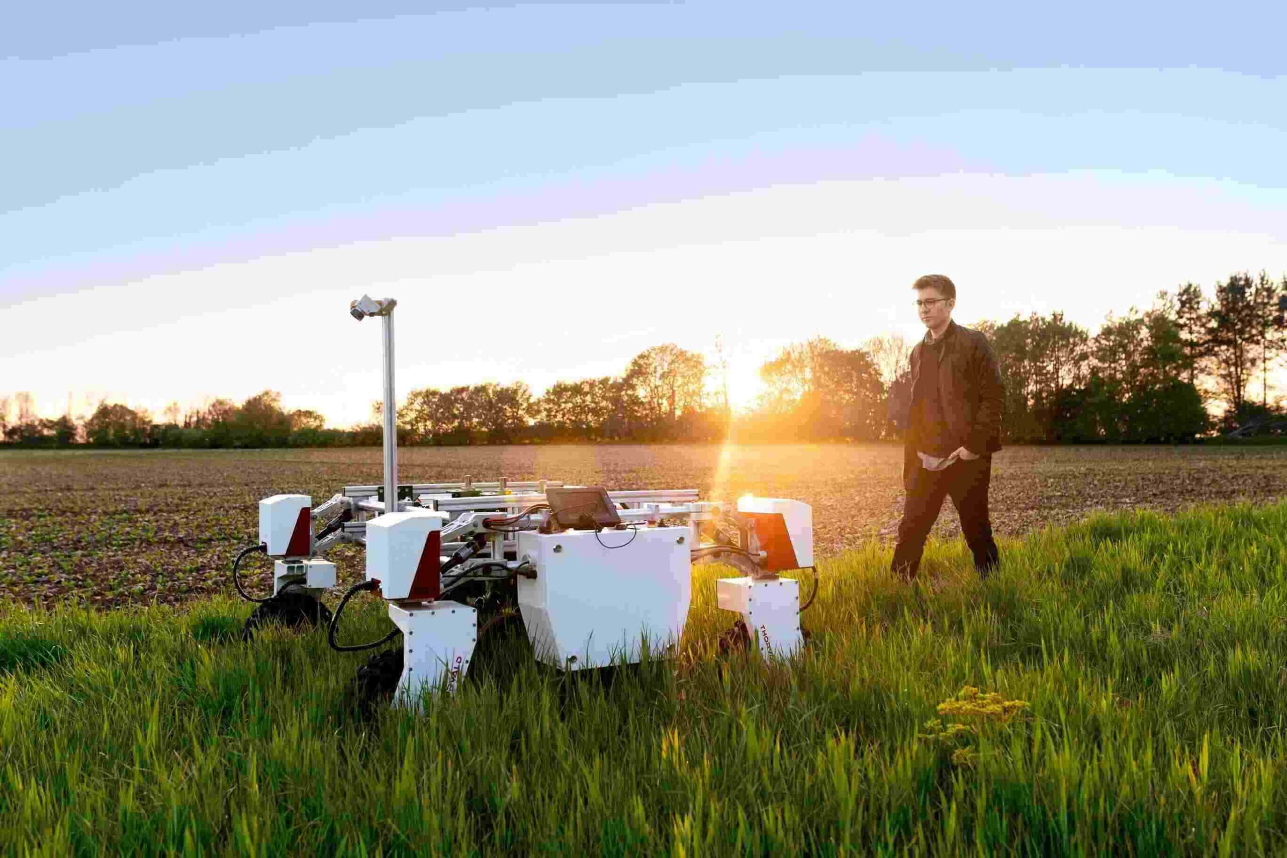 Male mechanical engineer with sustainable agricultural robot in field